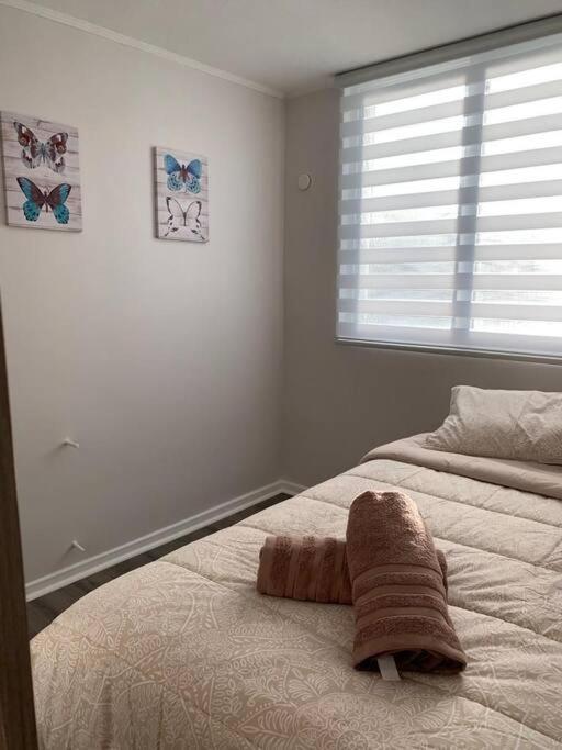 Departamento Centrico En פורטו ואראס מראה חיצוני תמונה